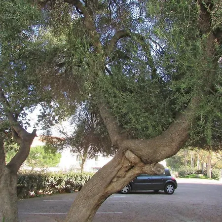 Apartment Beautiful In Algajola With